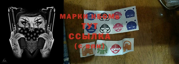 дживик Богородск
