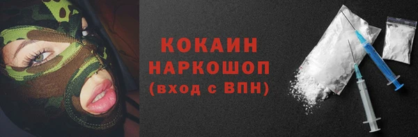 дживик Богородск