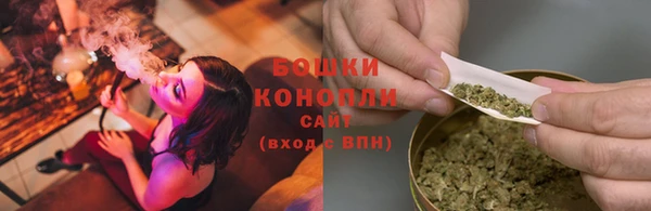 дживик Богородск