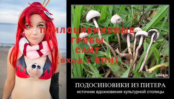 круглые Богородицк