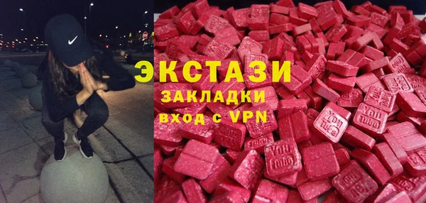 индика Сосновоборск