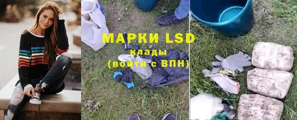 дживик Богородск