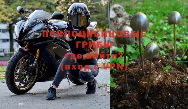 дживик Богородск