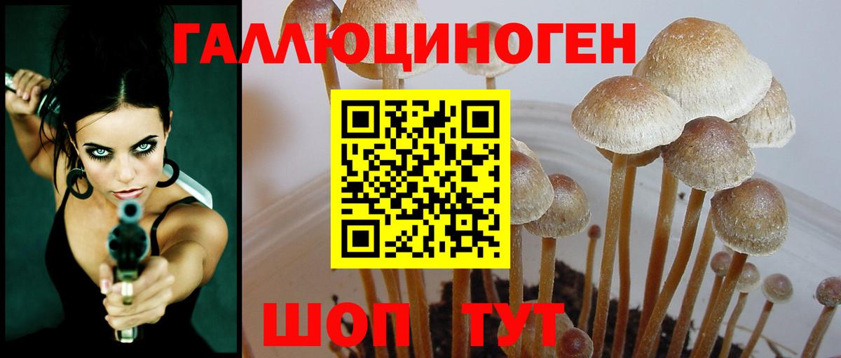 Среднеуральск  Псилоцибиновые грибы MAGIC MUSHROOMS  цены наркотик  Вход с VPN 